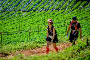 BIB: 
                            <button type="button" onclick="openModal(19163795)" class="btn btn-primary btn-sm float-right btn-popup" data-toggle="modal" data-target=".modal-high-quality">
                        <i class="fas fa-shopping-cart"></i> Add to Cart
                    </button>
                                            <button type="button" onclick="isThisMe(19163795, true)" class="btn btn-success btn-sm float-right btn-popup btn-isme hidden" data-toggle="tooltip" data-placement="bottom" title="นี่คือรูปของคุณใช่ไหม คลิกที่นี่เพื่อเอาเข้าอัลบั้ม">
                        <i class="fas fa-plus"></i> Add to album
                    </button>
                    <button type="button" onclick="isThisMe(19163795, false)" class="btn btn-warning btn-sm float-right btn-popup btn-isnotme hidden">
                        <i class="fas fa-ban"></i> Remove from album
                    </button>